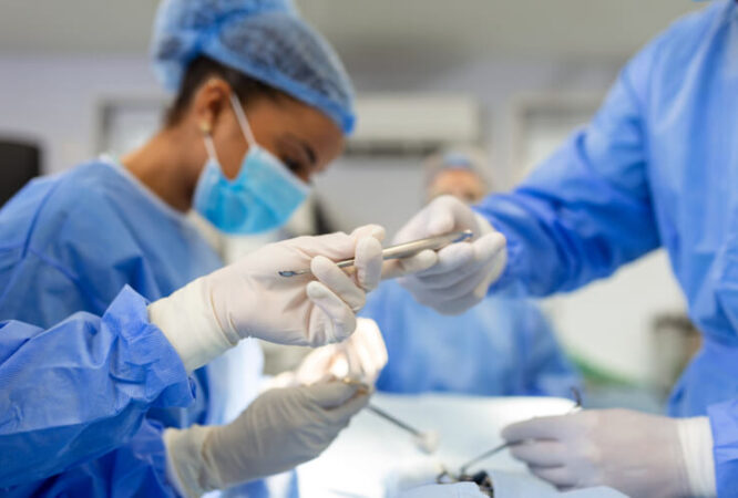 curso miniatura